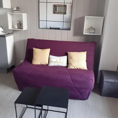 公寓 Cosy Clim, Jardin Et Parking Sud 卡内