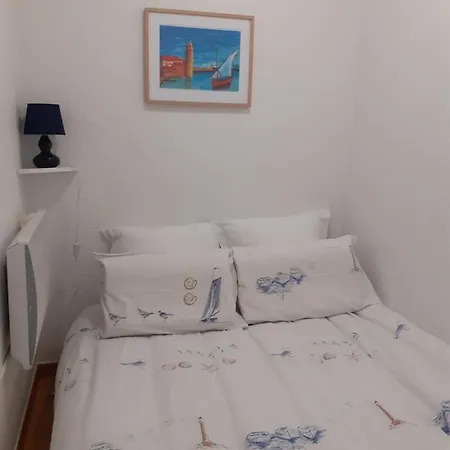 公寓 Cosy Clim, Jardin Et Parking Sud
