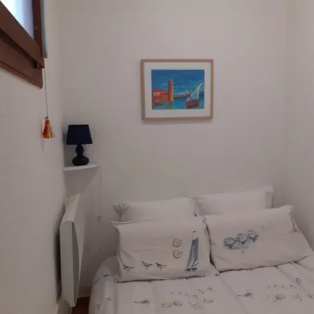 Appartement Sud Jardin Et Parking *