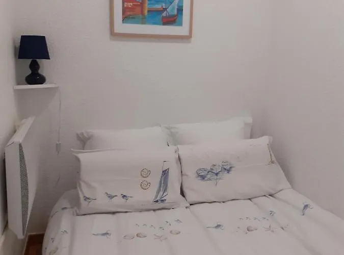Apartament Sud Jardin Et Parking